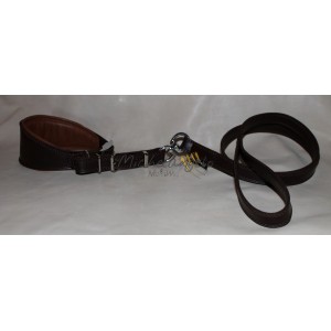 Collar and leash with buckles