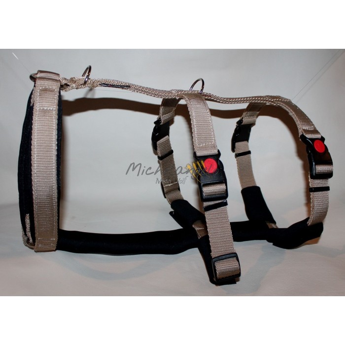 H harness for Greyhound