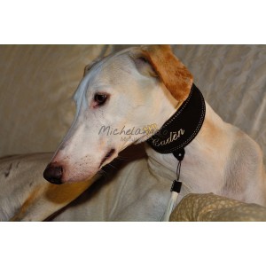 Greyhound collar with name embroidered