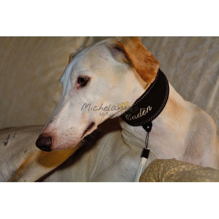 Collare per Levriero con Nome ricamato