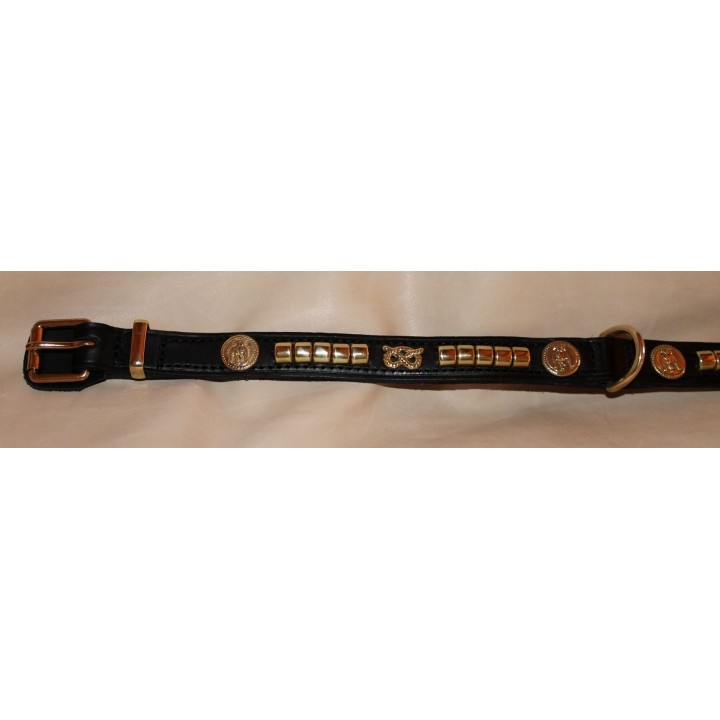 Staffordshire Bull Terrier collar
