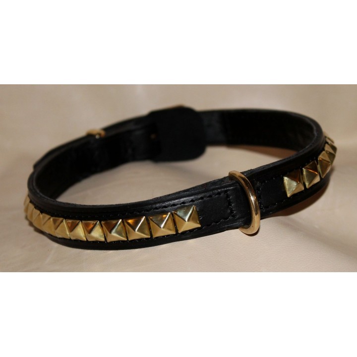 Staffordshire Bull Terrier collar