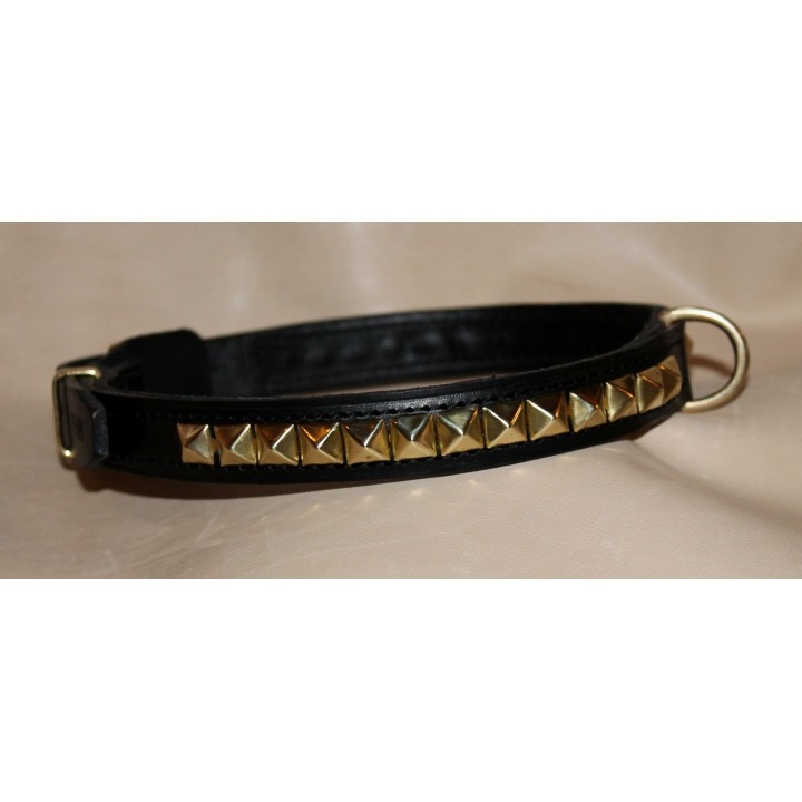 Staffordshire Bull Terrier collar