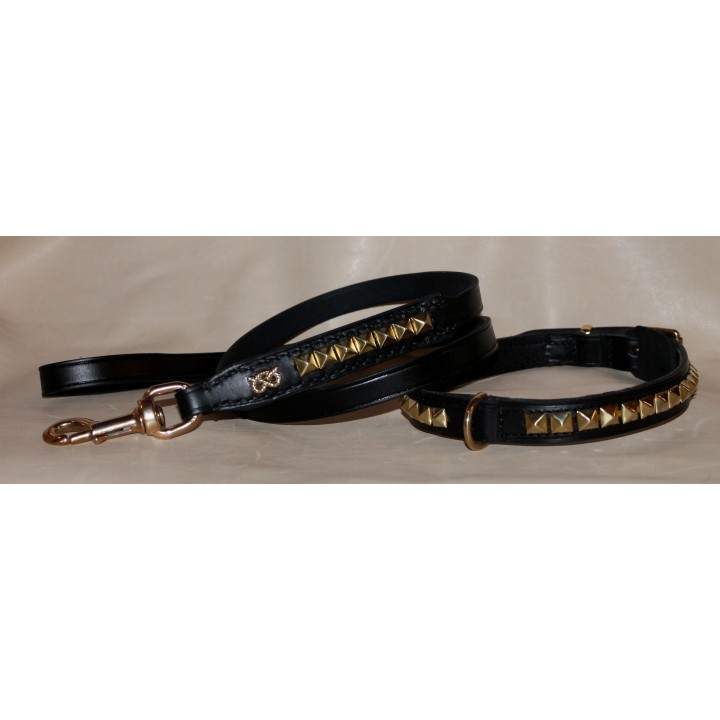 Staffordshire Bull Terrier collar
