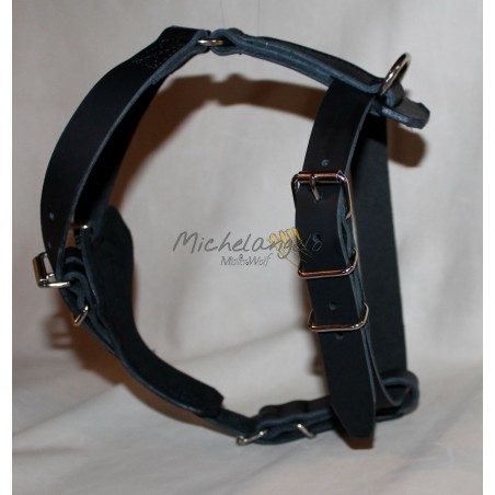 Harness for Jack Russel 