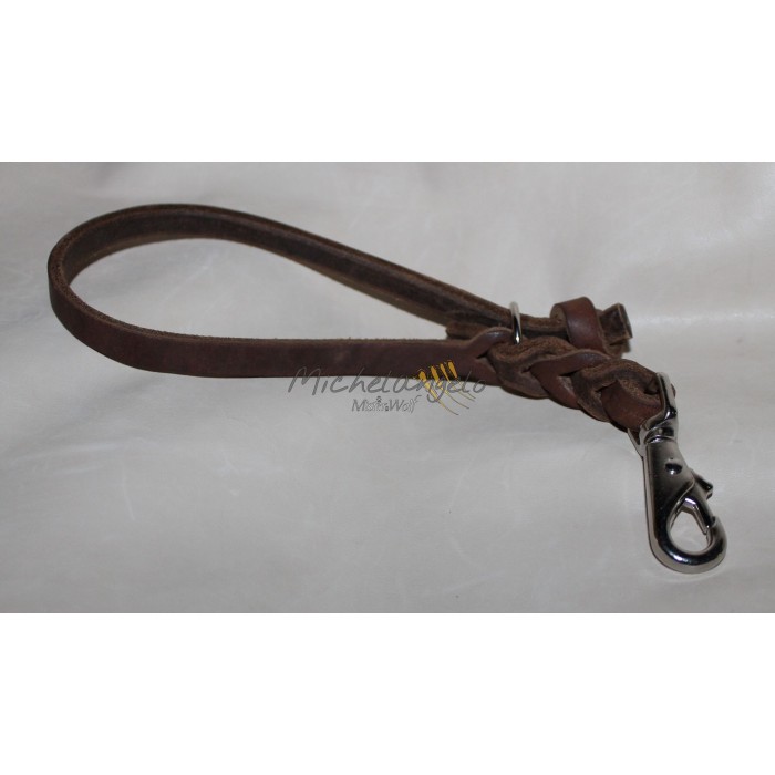 Leather leash/handle