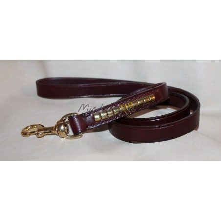 Guinzaglio  per Staffordshire Bull Terrier