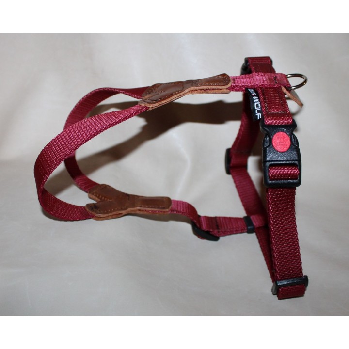 Harness for Dachshund