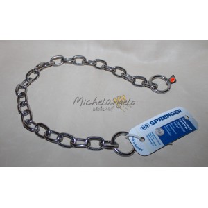 Stainless steel collar 
