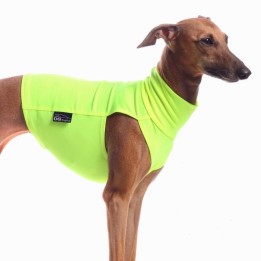 Greyhound Tactel underwear