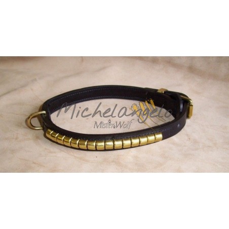 Collare  Staffordshire Bull Terrier