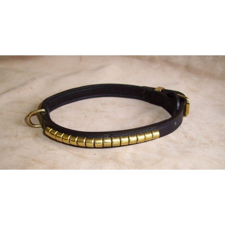 Staffordshire Bull Terrier collar