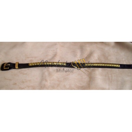 Collare  Staffordshire Bull Terrier