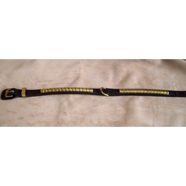 Staffordshire Bull Terrier collar