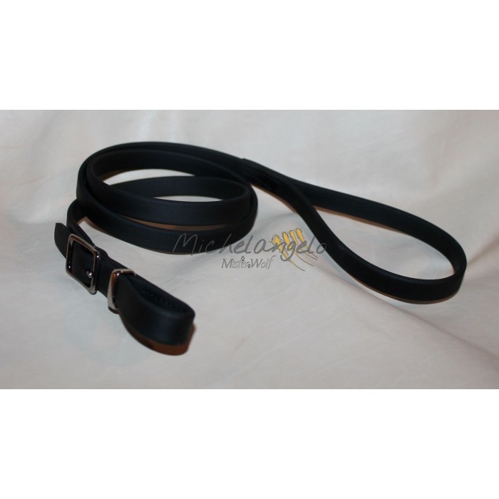 leash in biothane whith buckle