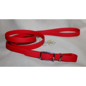 leash in biothane whith buckle