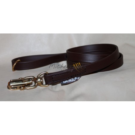 leash with quick release carabiner