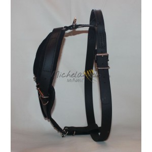 Harness for training