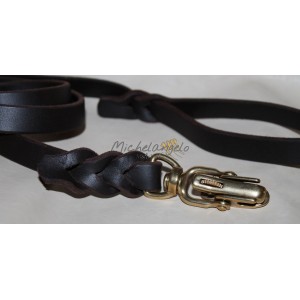 leash with quick release carabiner
