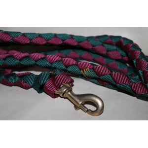long leash in nylon