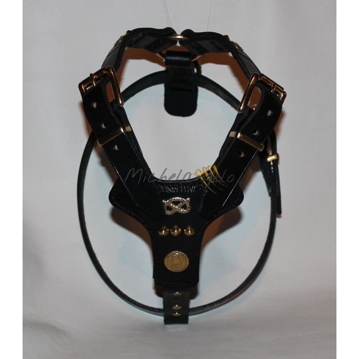 Leather harness  for Staffordshire Bull Terrier