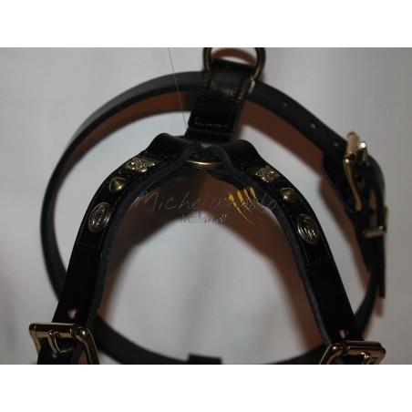 Leather harness  for Staffordshire Bull Terrier