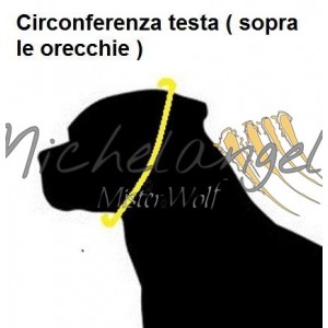 Collare in acciaio inox matt ovalino