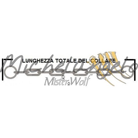 Collare in acciaio inox ovalino