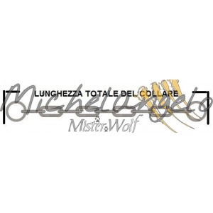 Collare in acciaio inox ovalino