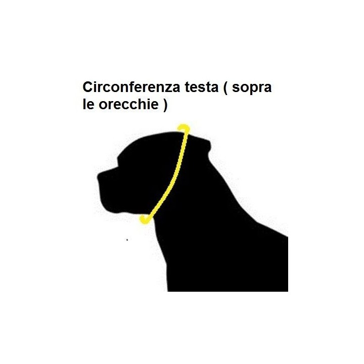 Stainless steel collar ovalino