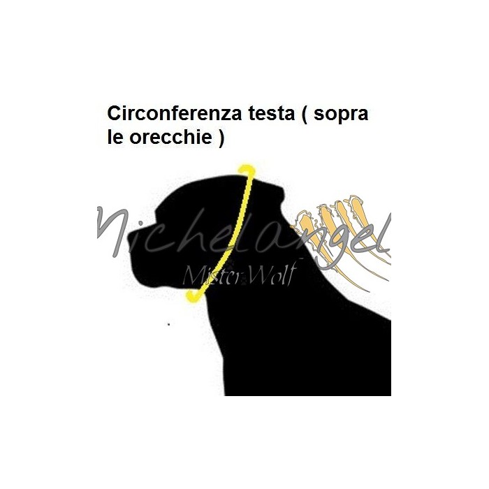 Collare in acciaio  expo