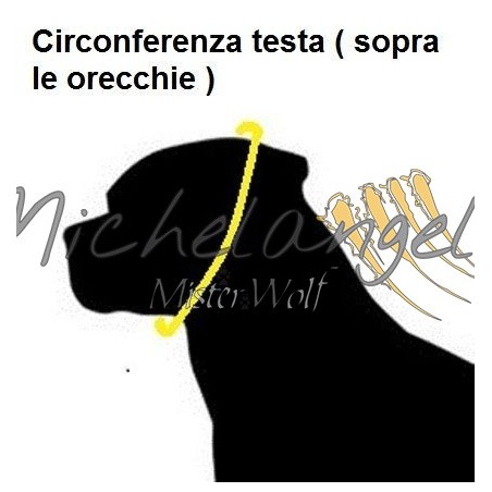 Collare in acciaio  expo