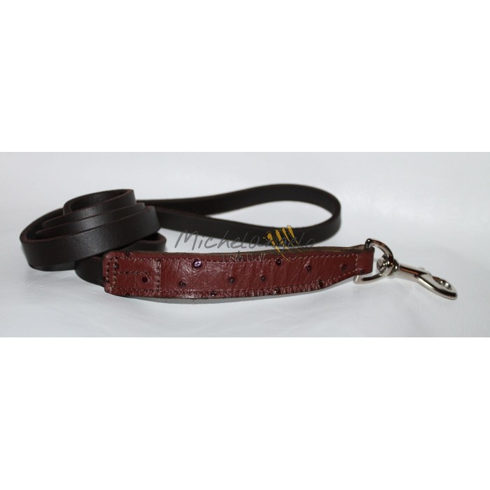 Bouledogue Francais collar and leash