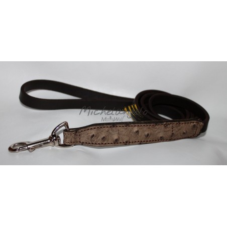 Bouledogue Francais collar and leash