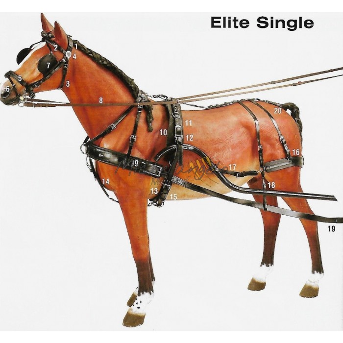 Single - Elite Single Harness