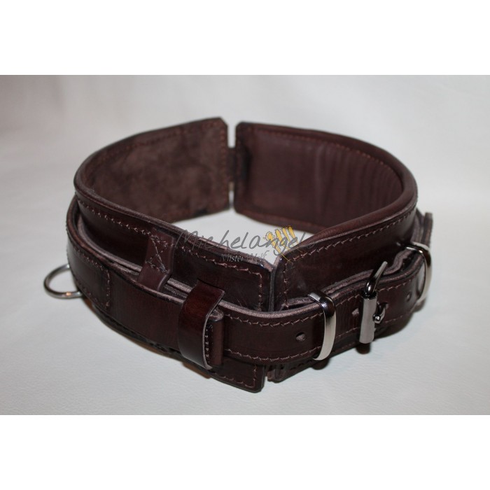 leather collar with retractable handle