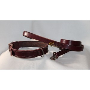 English Bulldog  collar