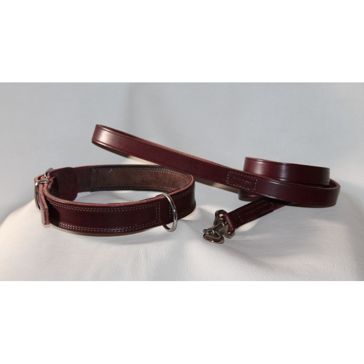 English Bulldog  collar