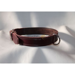 English Bulldog  collar