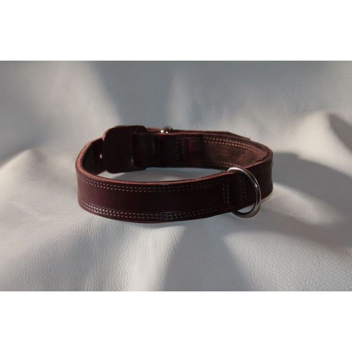 English Bulldog  collar