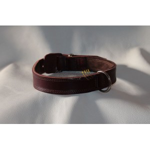 Collare e guinzaglio per Bulldog Inglese