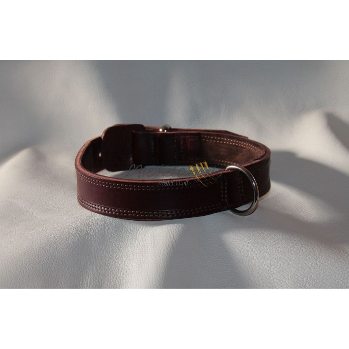 Collare e guinzaglio per Bulldog Inglese