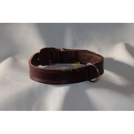 Collare e guinzaglio per Bulldog Inglese