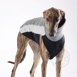 Greyhound outdoor top shirt