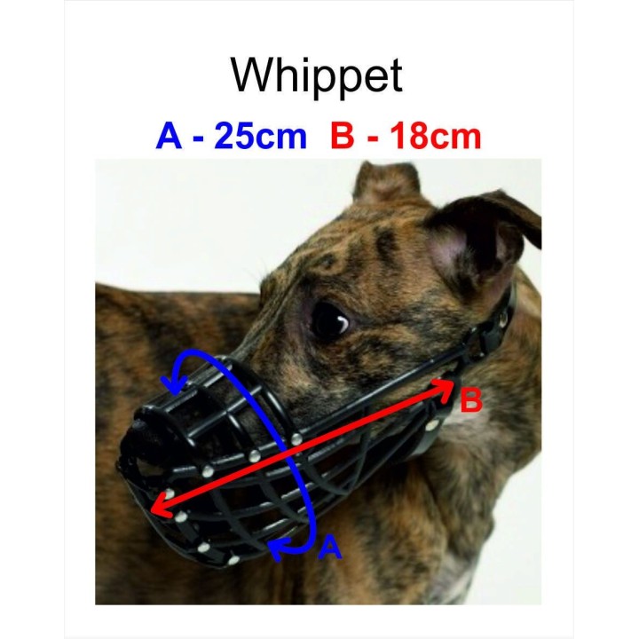 Muzzle PVC Whippet