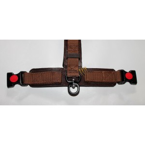 Pettorina Mantrailing