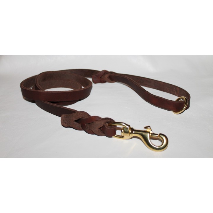 leather leash for dog