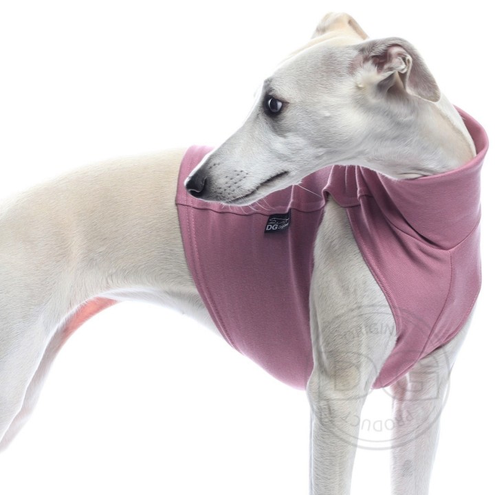 maglia cotone per levriero