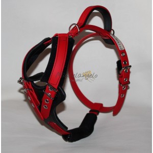 Harness for Jack Russel
