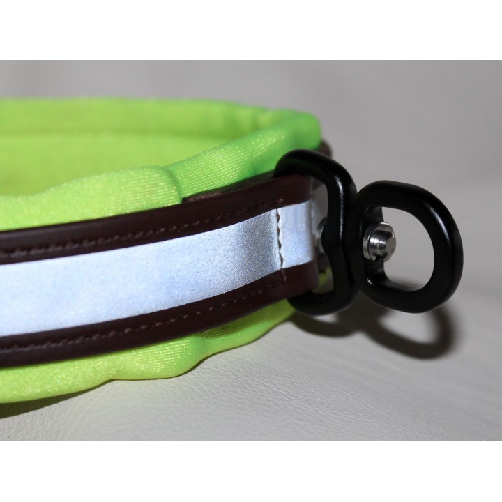 collare in biothane per cani da traccia